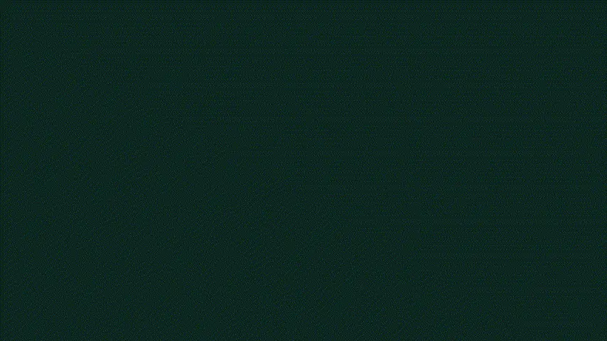 SCHUFA Reform: 250+ factors → 12 factors